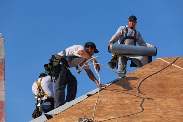 Best Roof Maintenance Services  in Cosmopolis, WA