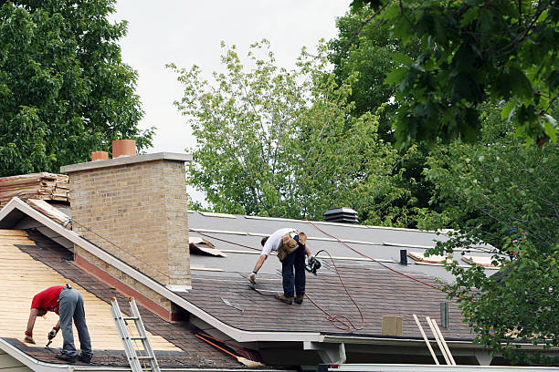 Best Roof Gutter Cleaning  in Cosmopolis, WA